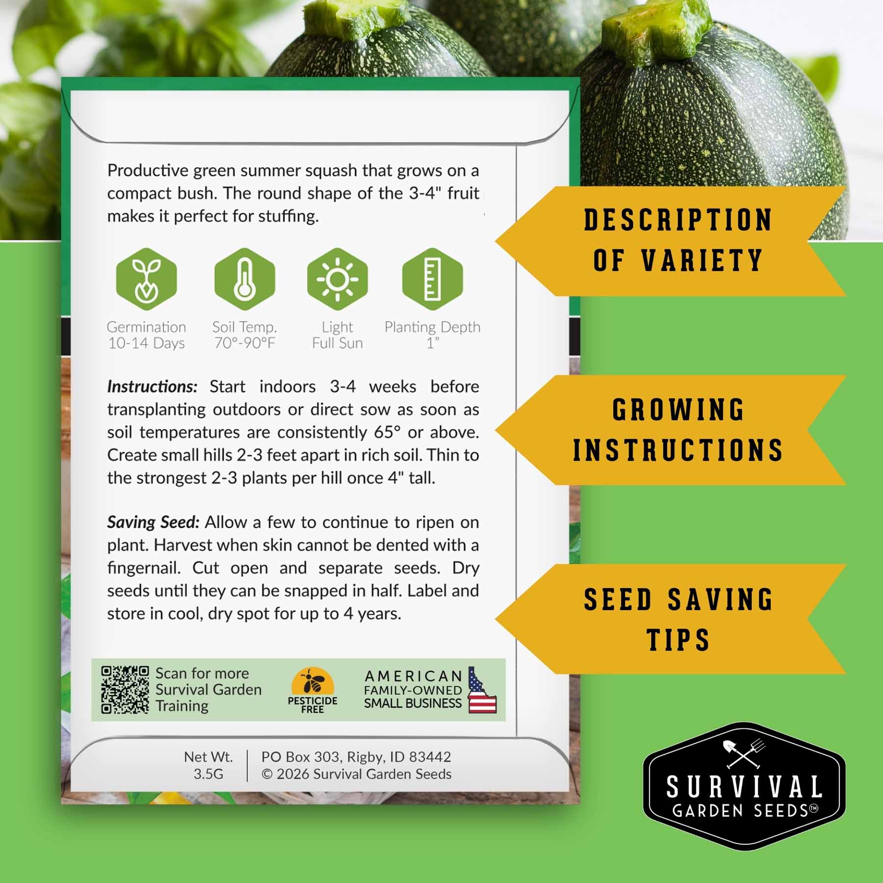 Squash Seed Collection – Zucchini, Yellow Summer, Butternut, Spaghetti & Acorn Varieties for Productive Summer and Winter Harvests