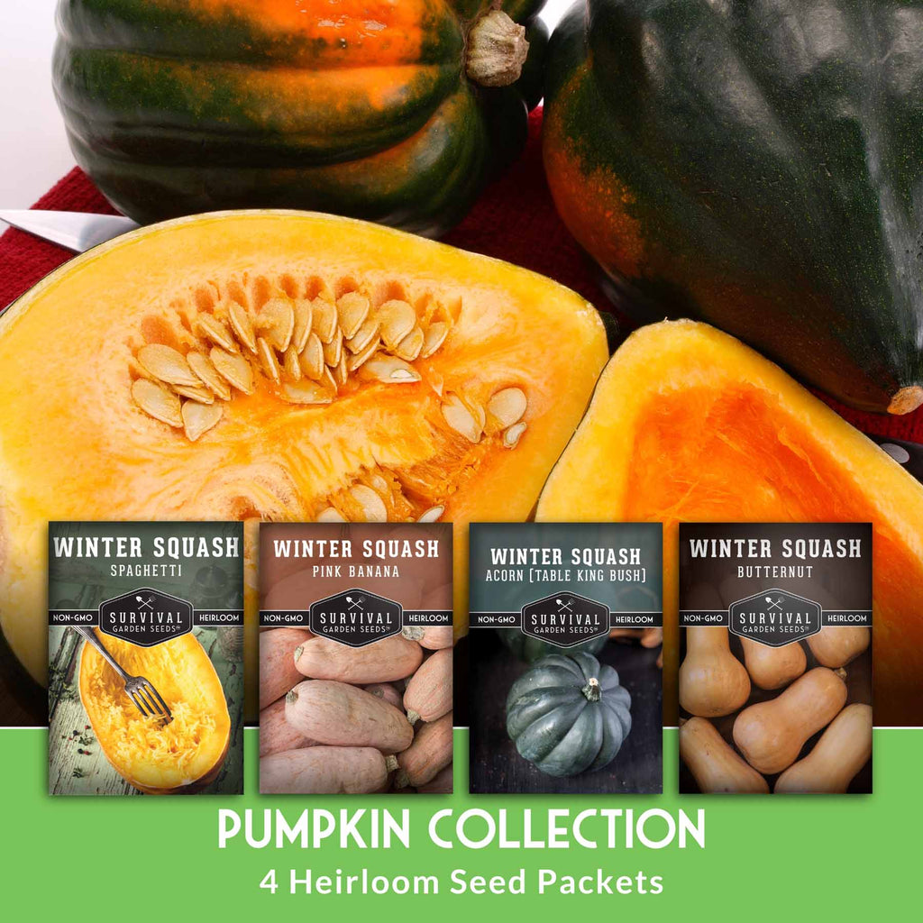 Winter Squash Seed Collection – Acorn, Butternut, Pink Banana & Spaghetti for Long-Storing, Cold-Season Nutrition