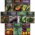 Summer Vegetable Seed Collection – Easy-Growing Tomatoes, Peppers, Beans, Cucumbers, Eggplant & Zucchini