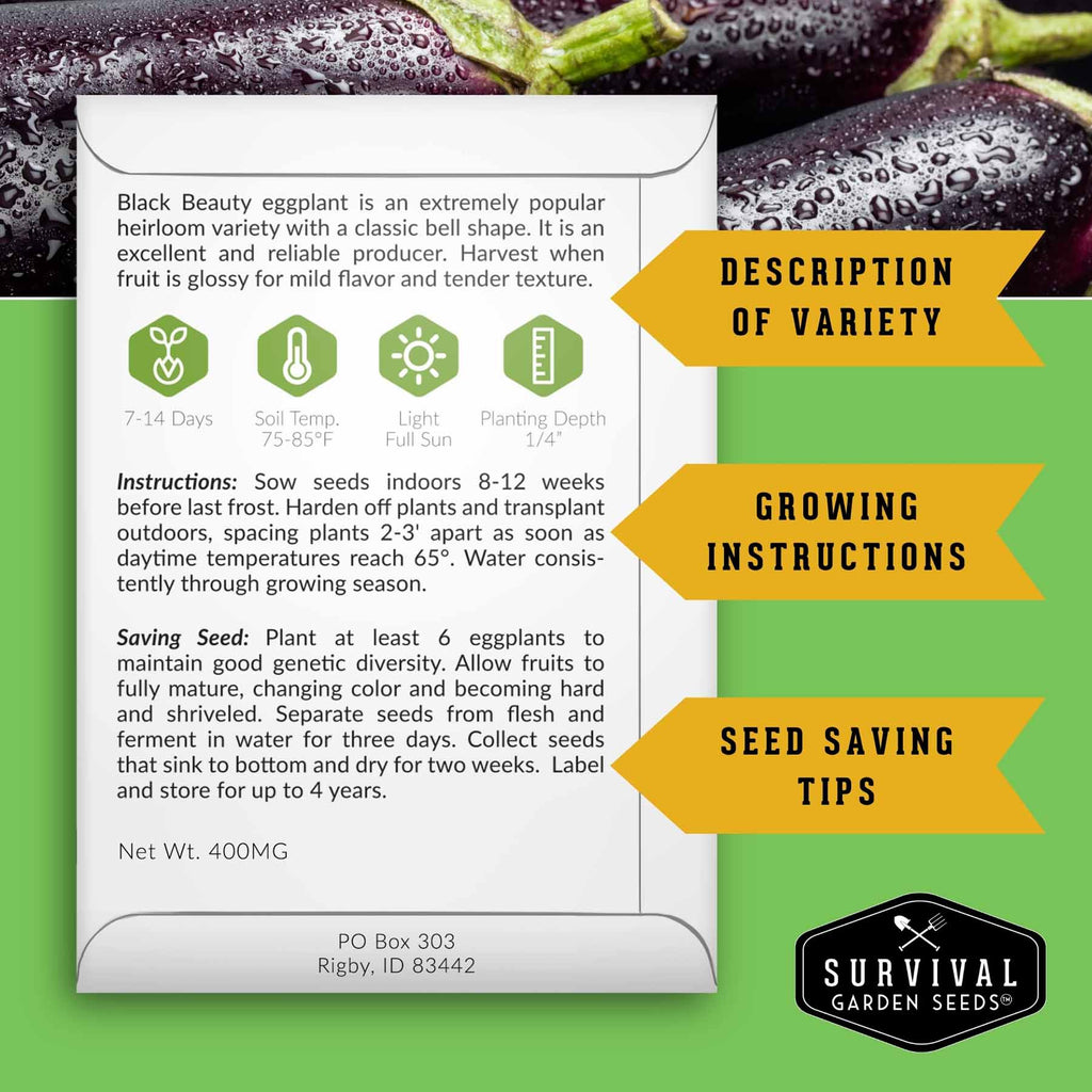 Summer Vegetable Seed Collection – Easy-Growing Tomatoes, Peppers, Beans, Cucumbers, Eggplant & Zucchini
