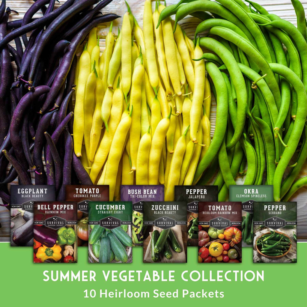 Summer Vegetable Seed Collection – Easy-Growing Tomatoes, Peppers, Beans, Cucumbers, Eggplant & Zucchini