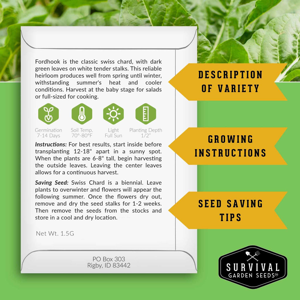 Swiss Chard 3 Variety Seed Collection – Rainbow, Ruby Red, and Fordhook Giant Heirloom Greens for Continuous Harvests
