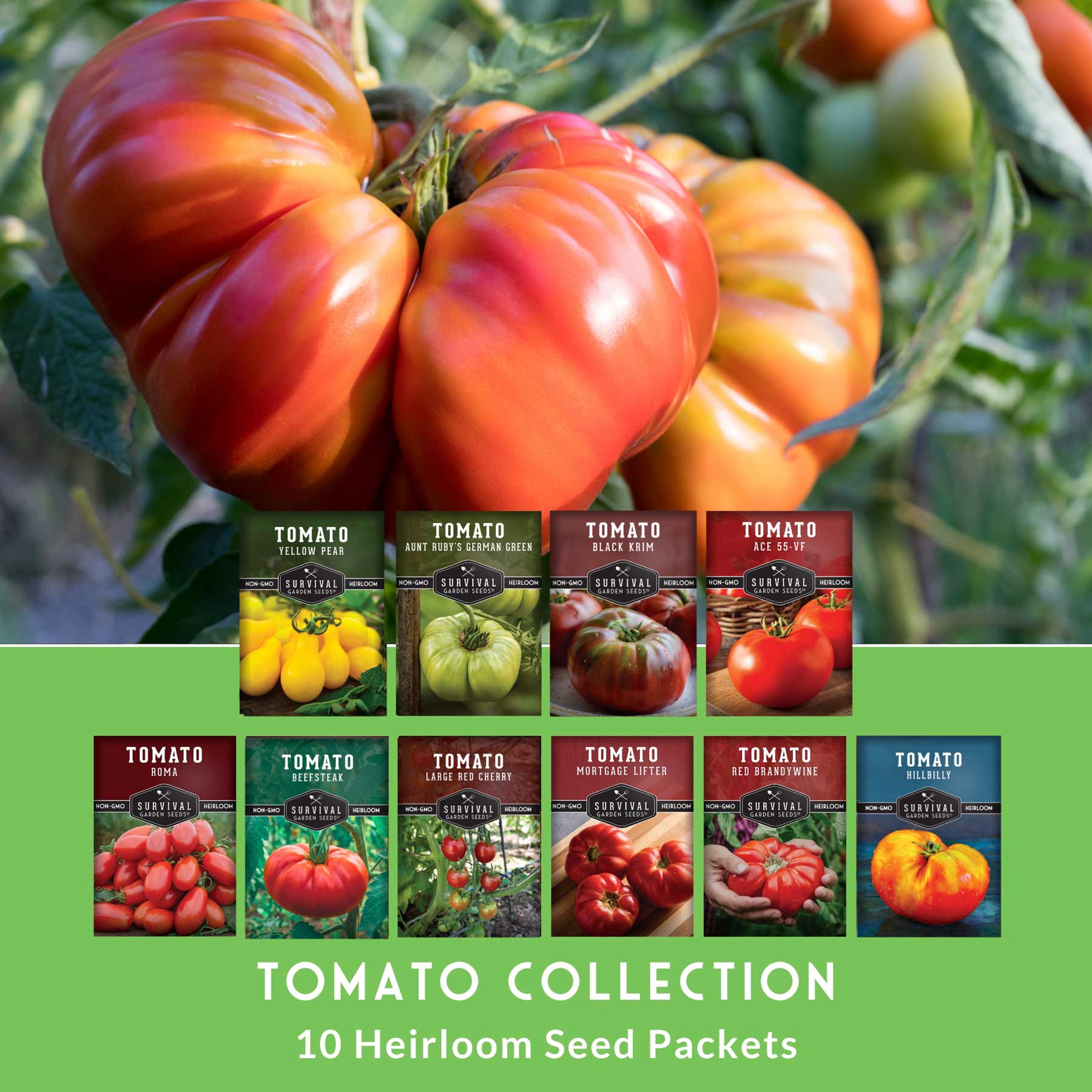 10 Tomato Seed Collection – Heirloom & Garden Favorites for Slicing, Sauces, Canning & Fresh Eating