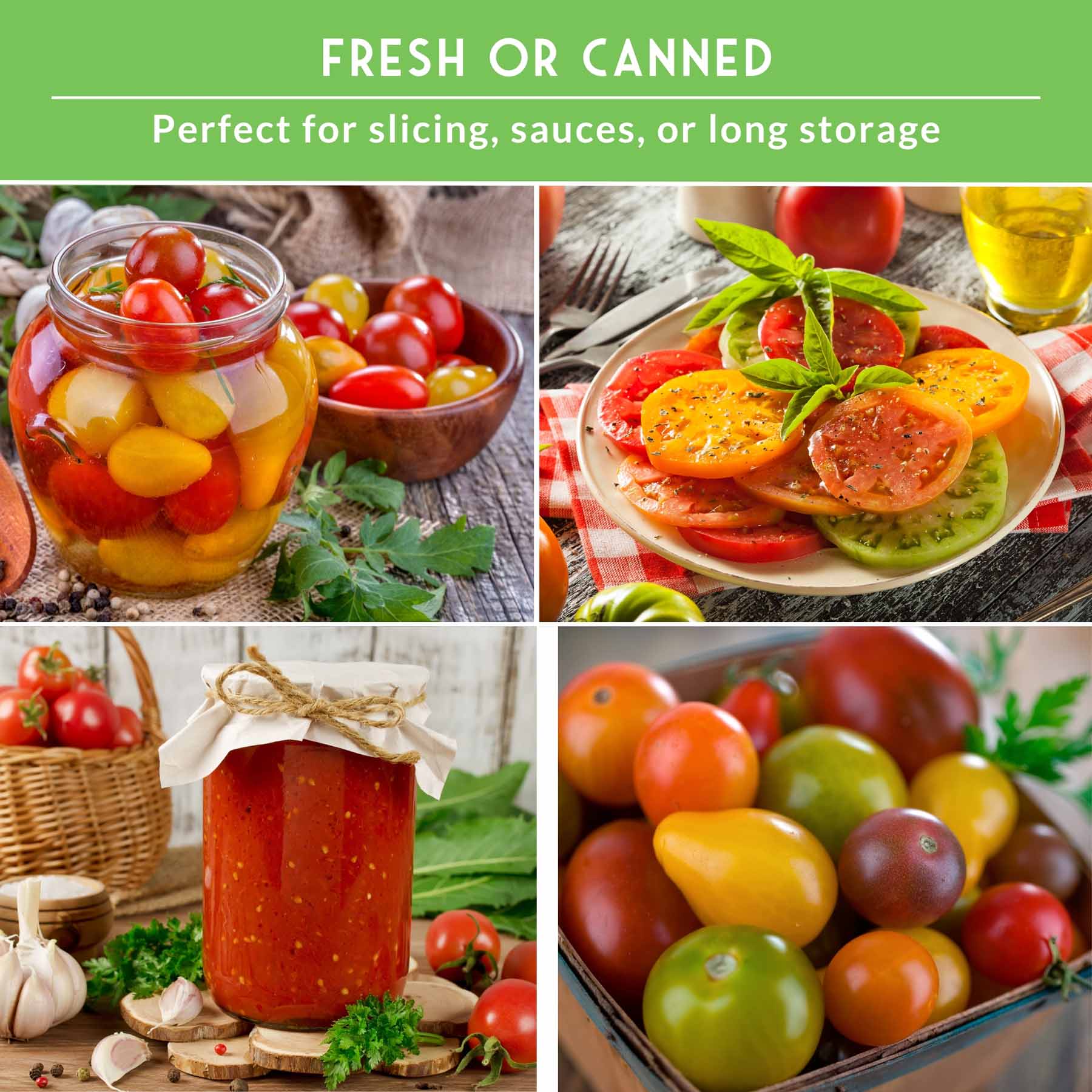 10 Tomato Seed Collection – Heirloom & Garden Favorites for Slicing, Sauces, Canning & Fresh Eating