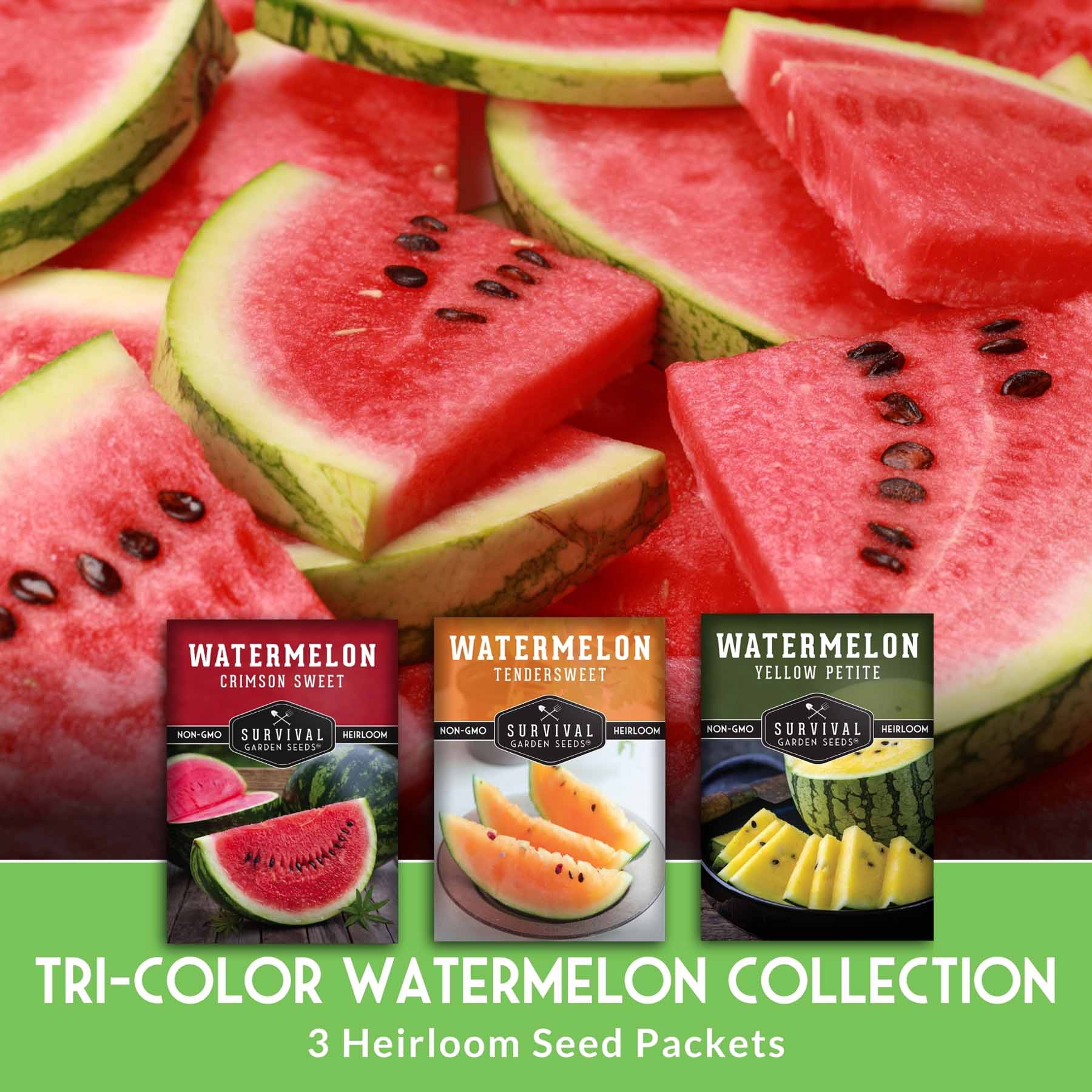 Tri-Color Watermelon Seeds – Crimson Sweet, Yellow Petite & Tendersweet Orange Heirloom Varieties for Vibrant Summer Harvests