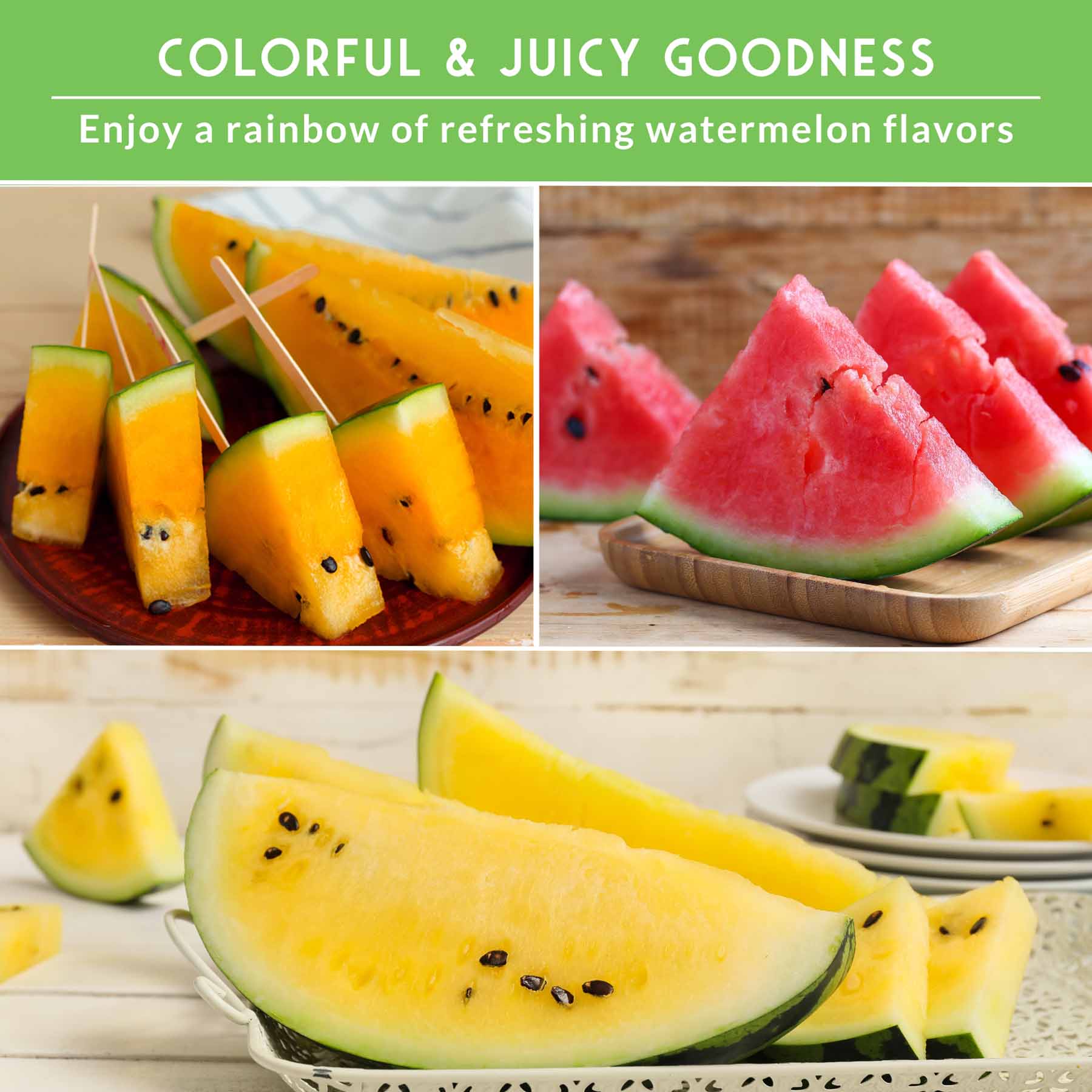 Tri-Color Watermelon Seeds – Crimson Sweet, Yellow Petite & Tendersweet Orange Heirloom Varieties for Vibrant Summer Harvests