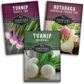 Turnip & Rutabaga Seeds Collection – Heirloom Non-GMO Varieties for Fall & Spring Gardens
