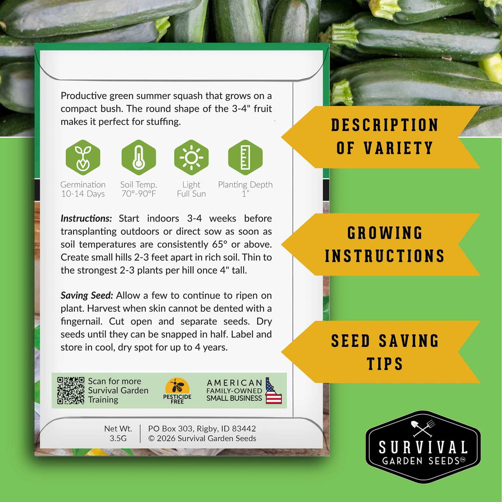 Zucchini & Summer Squash Seed Collection – Black Beauty, Round, Golden, Grey Zucchini & Straight Neck Yellow Squash