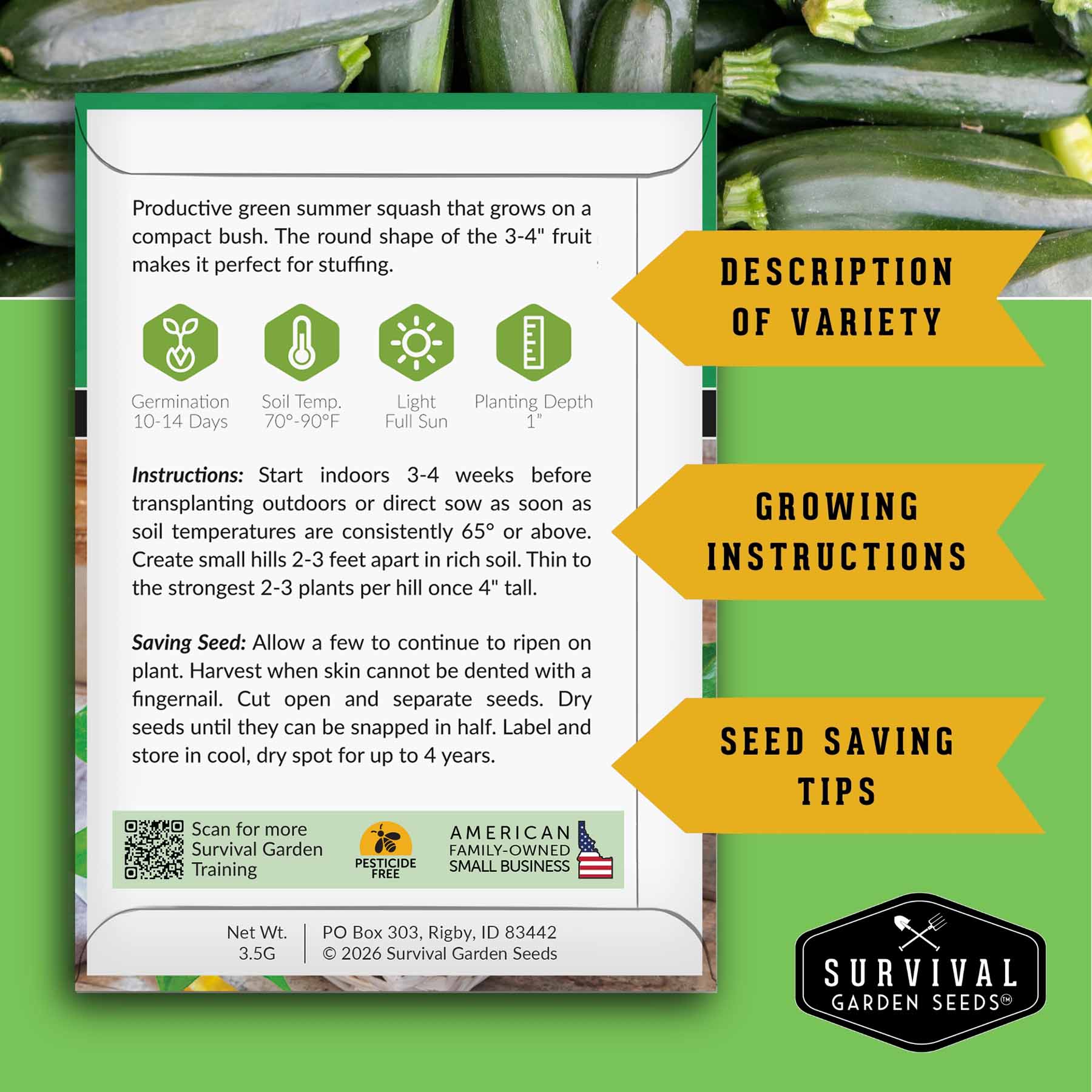 Zucchini & Summer Squash Seed Collection – Black Beauty, Round, Golden, Grey Zucchini & Straight Neck Yellow Squash