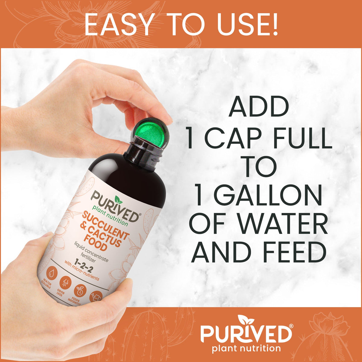 Purived Succulent & Cactus Food