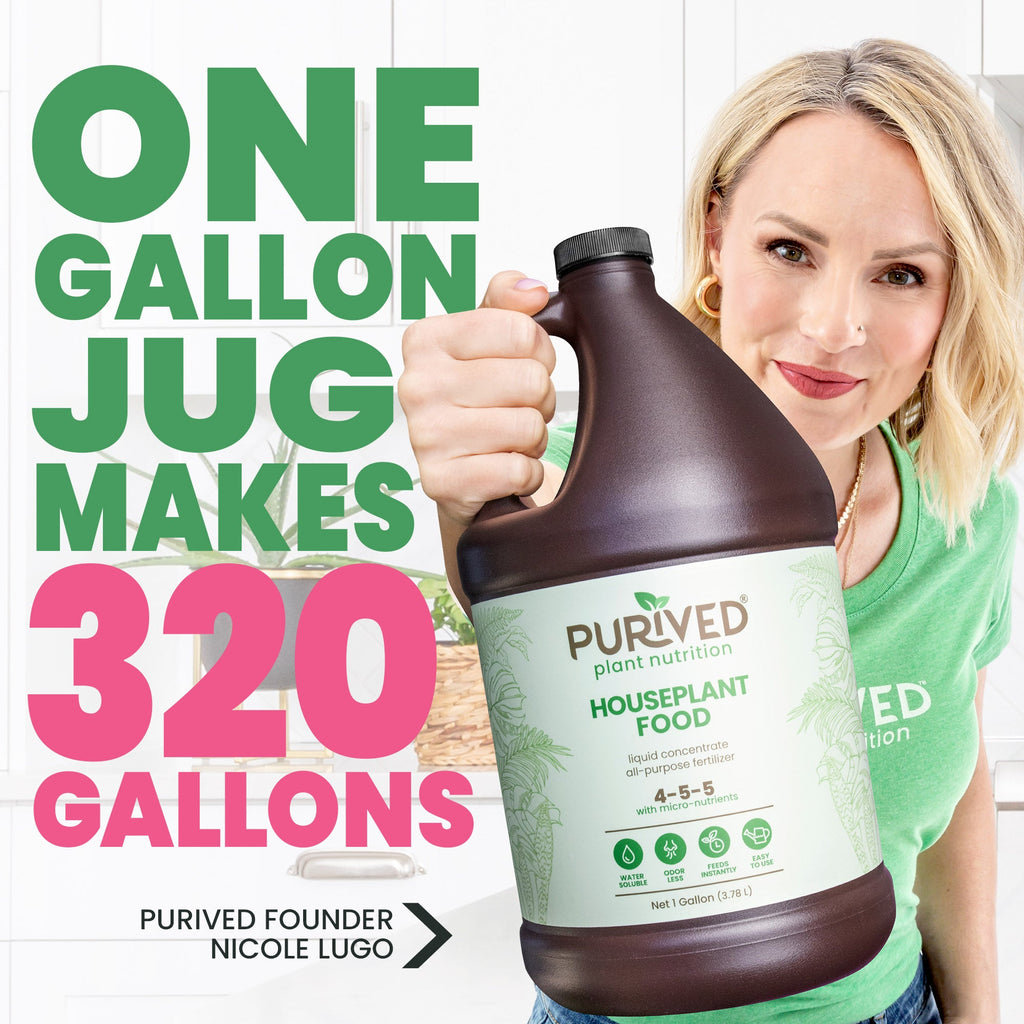 Purived Houseplant Food 1 Gallon