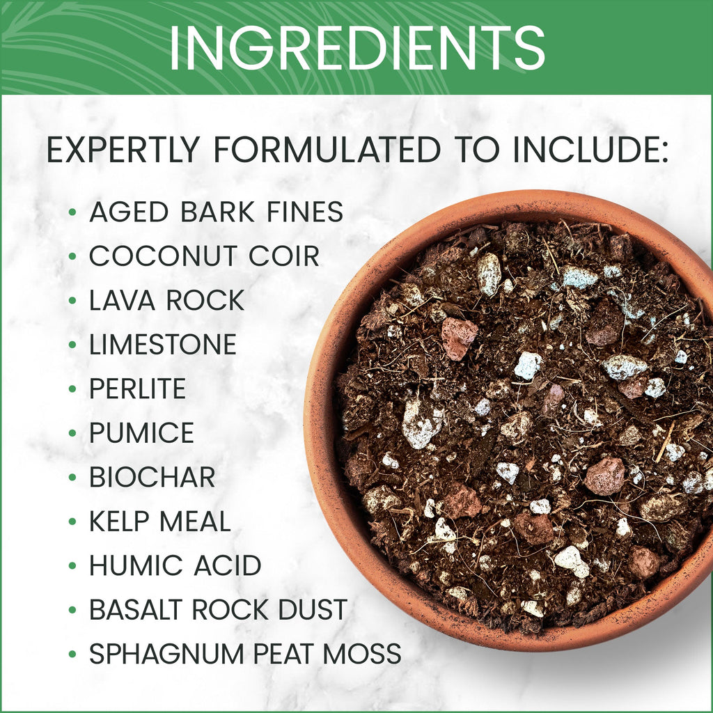 Purived Premium Houseplant Potting Mix