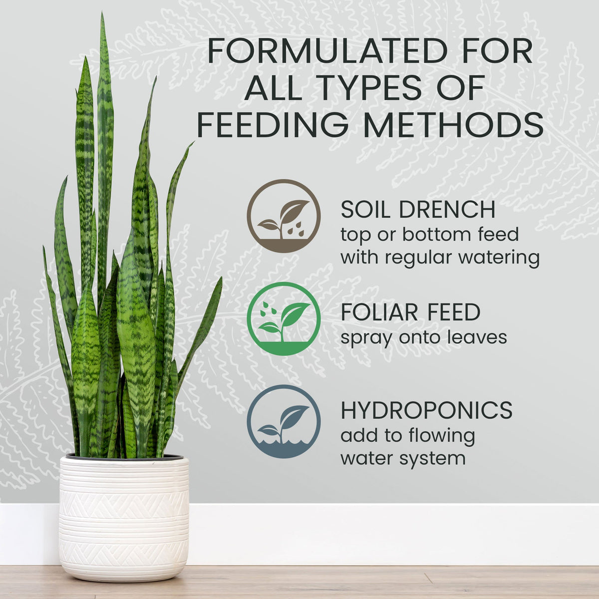 Purived Houseplant Food 1 Gallon