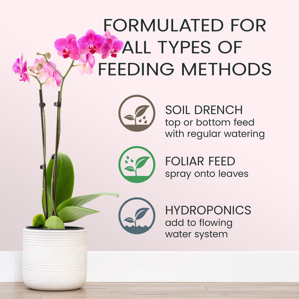 Purived Orchid Food 16oz
