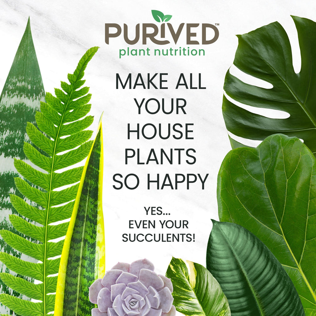 Purived Houseplant Food 1 Gallon