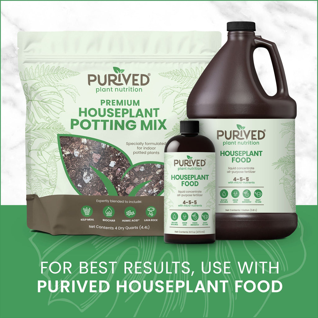 Purived Premium Houseplant Potting Mix