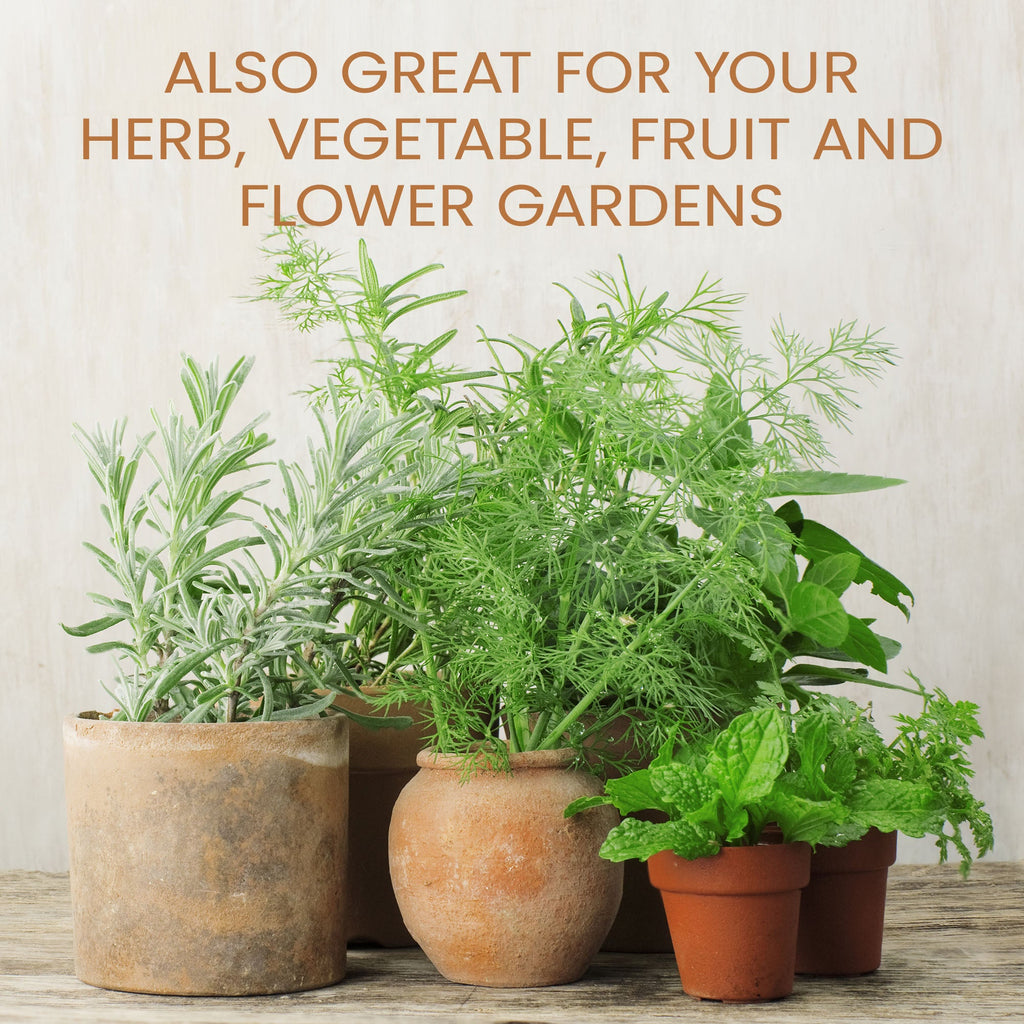 Purived Houseplant Food 1 Gallon