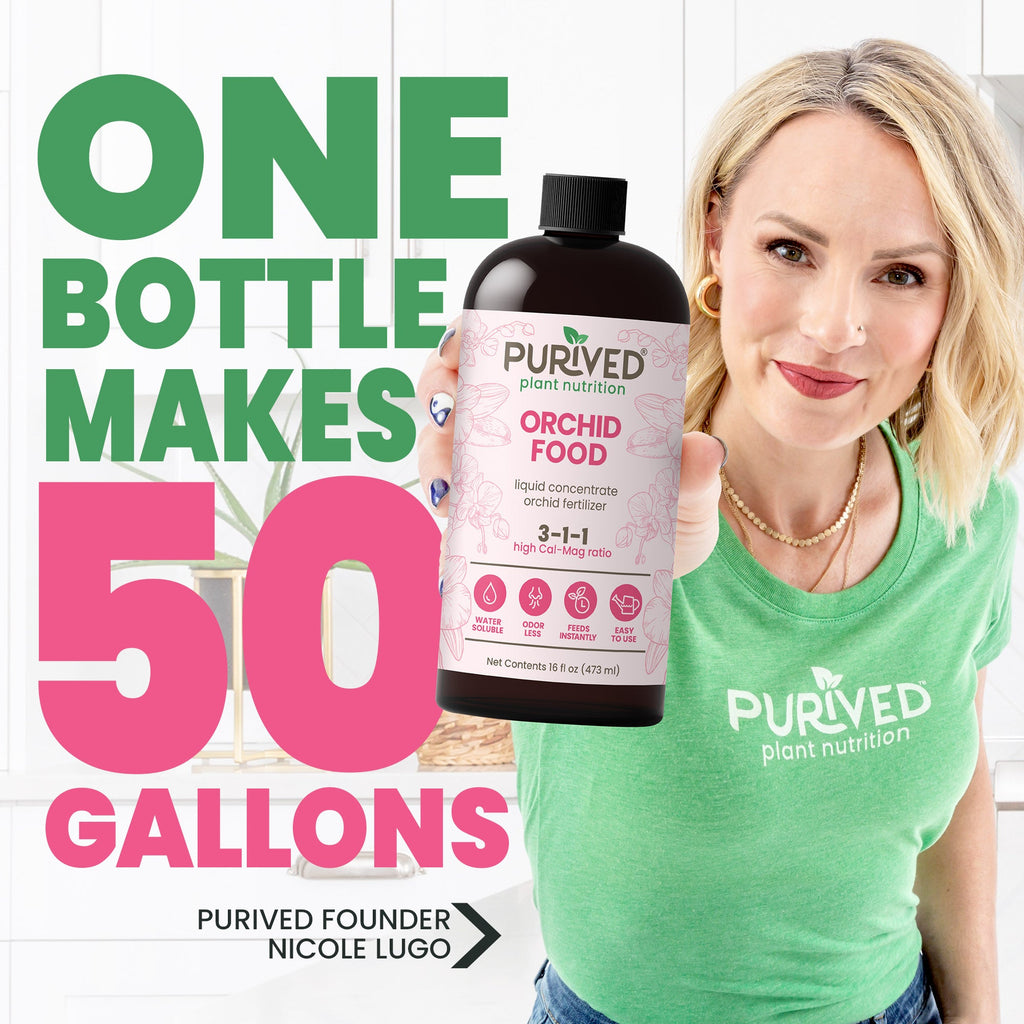 Purived Orchid Food 16oz