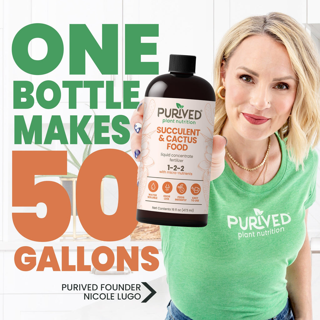 Purived Succulent & Cactus Food