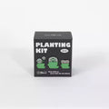 Echeveria Agavoides Casio