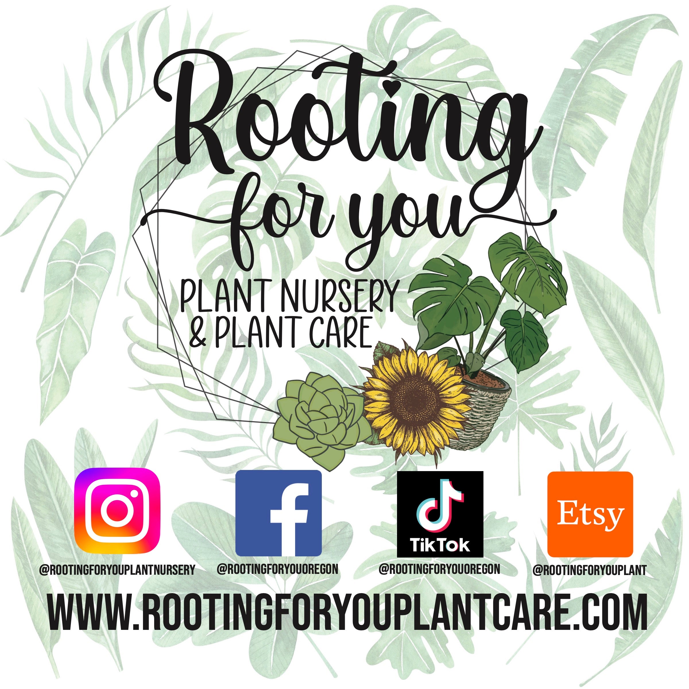 Neem Cake Neem Meal Soil Amendment