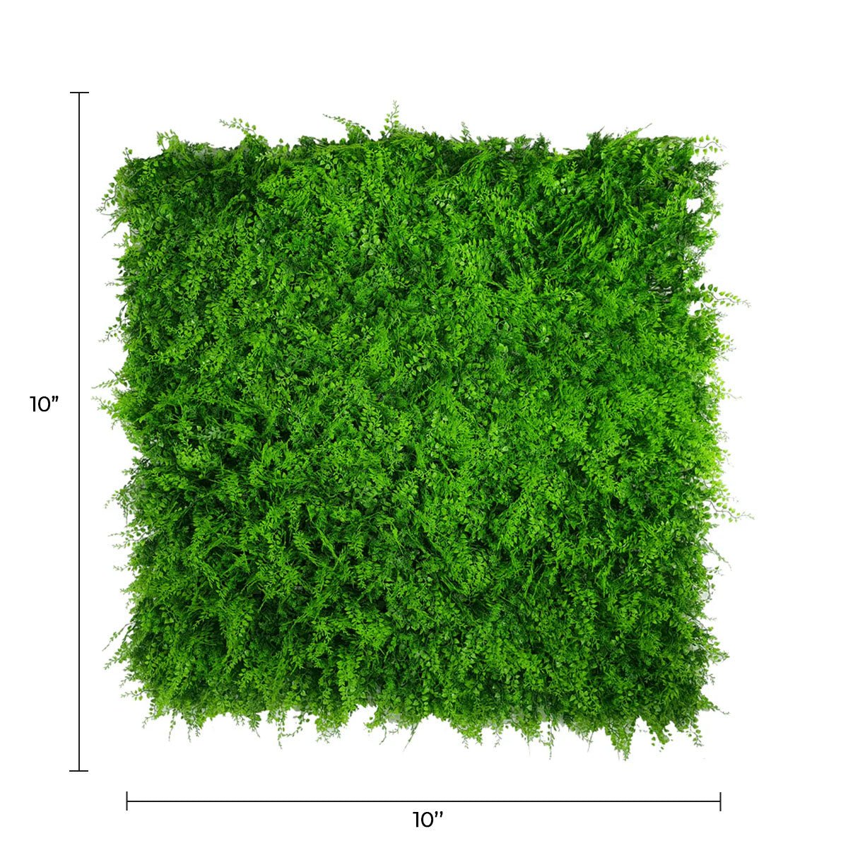 Sample Panel – Lush Fern Green Wall (Small Sample)