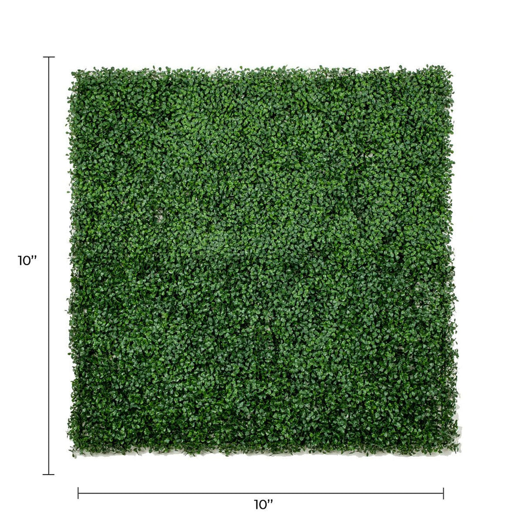 Sample Panel – Dark Boxwood Green Wall (Small Sample)