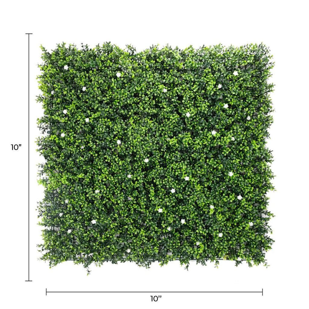 Sample Panel – White Flowering Boxwood Green Wall (Small Sample)