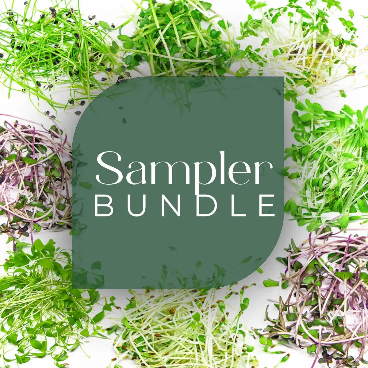 Sampler Bundle - 9 Tray Pack