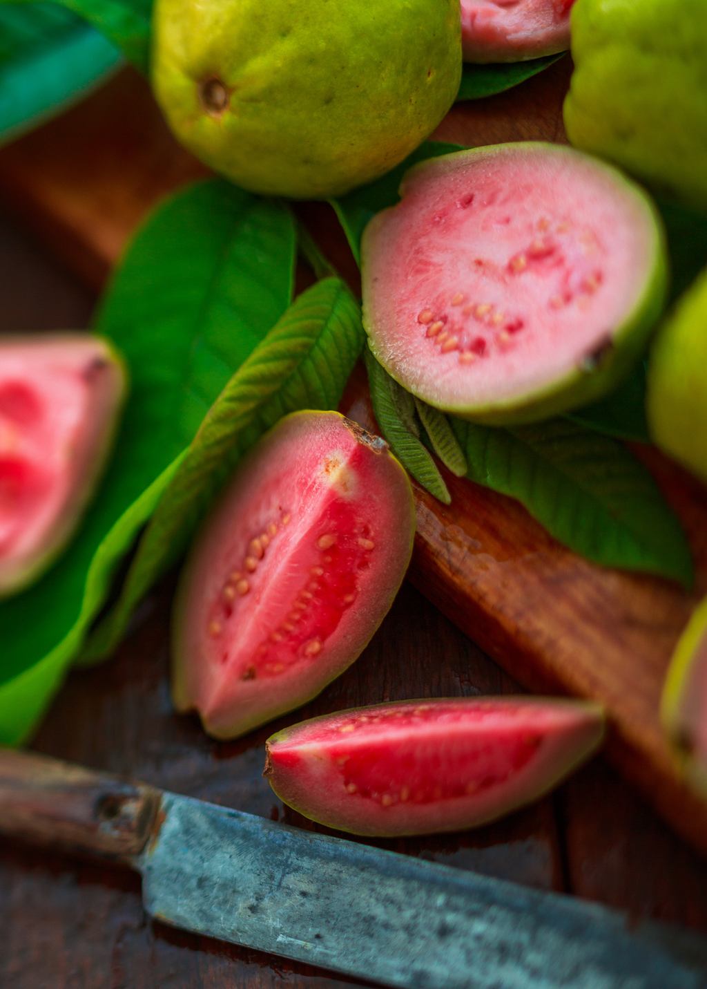 Gujava Scarlet Guava (Psidium guajava) – Nate's Garden Supply