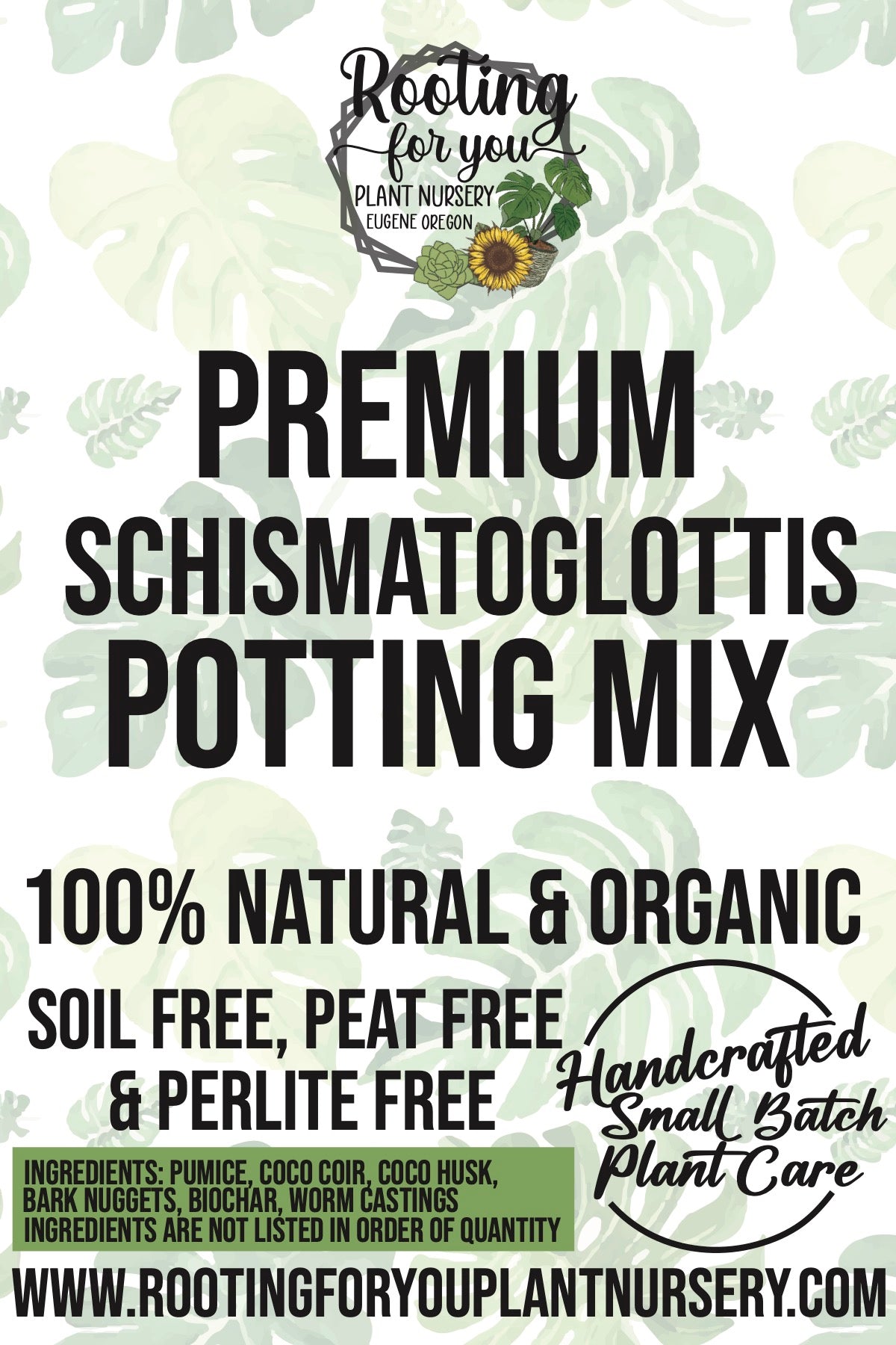 Schismatoglottis Premium Potting Mix