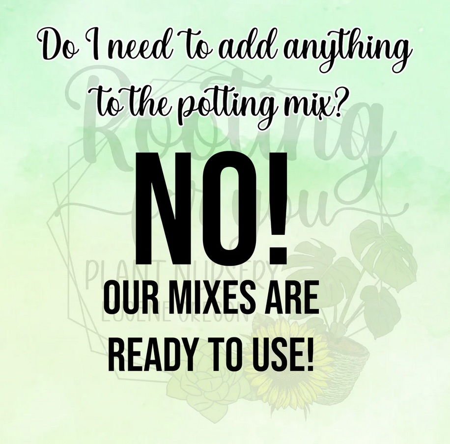 Azalea Premium Potting Mix