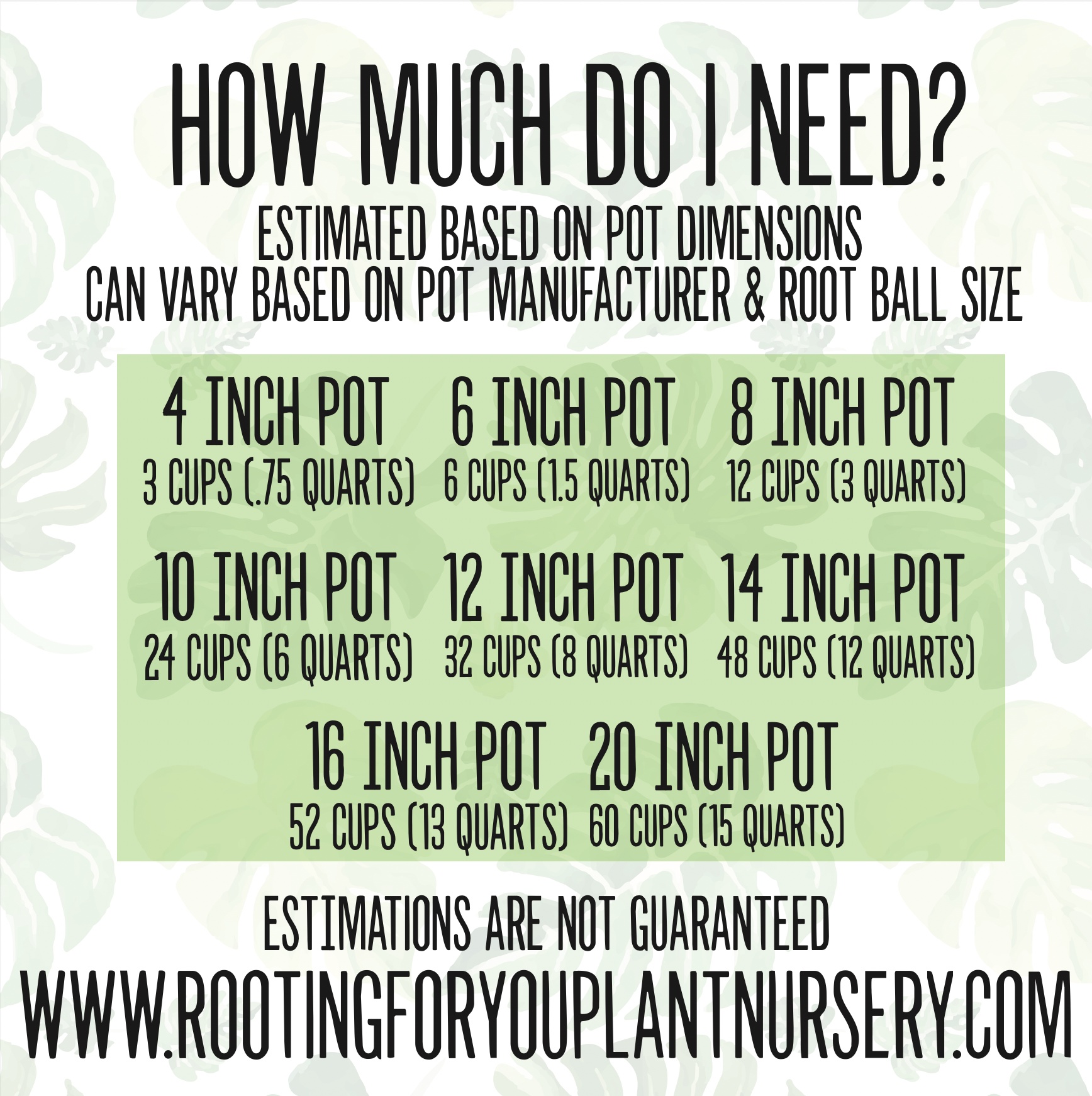 Schismatoglottis Premium Potting Mix