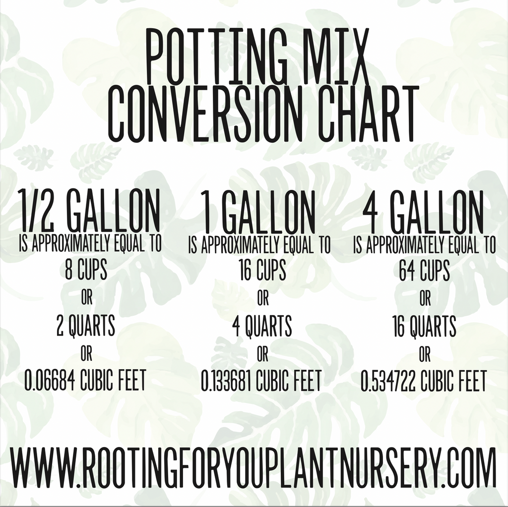 Cercestis Premium Potting Mix