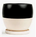 Bolle Pot w/Water Saucer