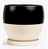 Bolle Pot w/Water Saucer