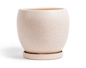 Bolle Pot w/Water Saucer