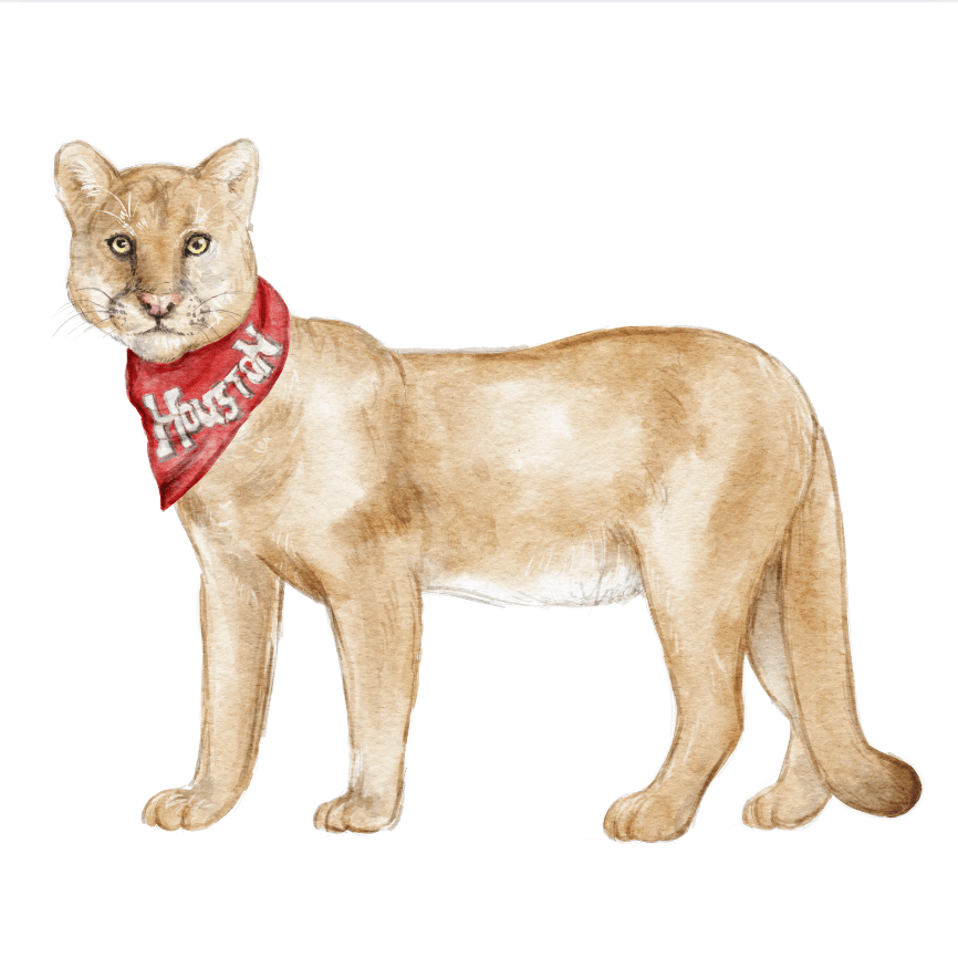 Red and White Cougar Garden Stake