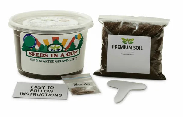 Cauliflower Grow Kit | Grow Cauliflower from Seed | Seeds In A Cup®
