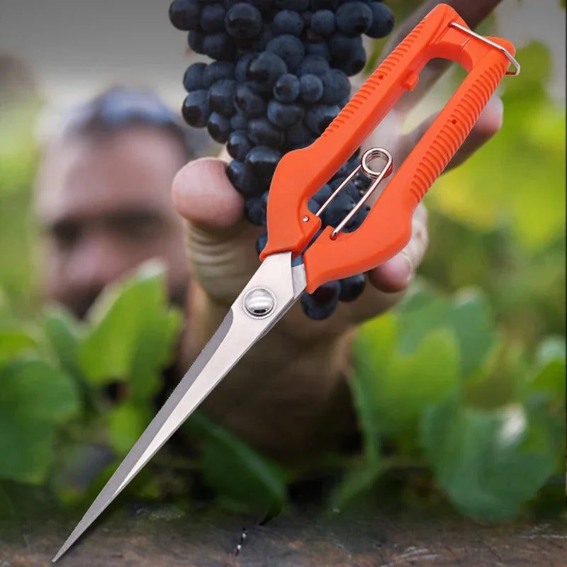 Grape Scissors Pruning Shears | Professional Stainless Steel Garden Tool