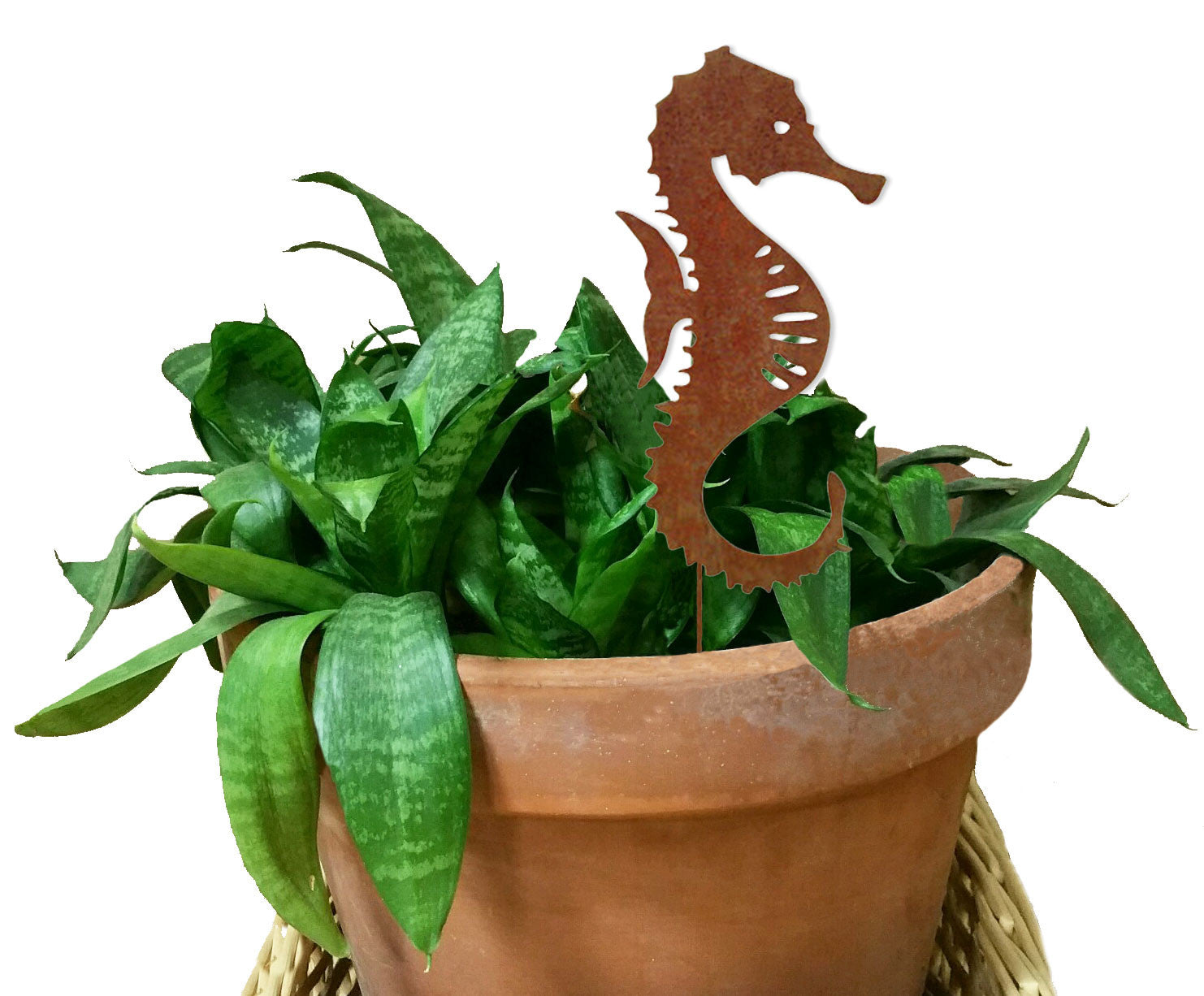 Seahorse Ornament or Plant Stake