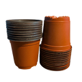 Seedling Transplant Pots
