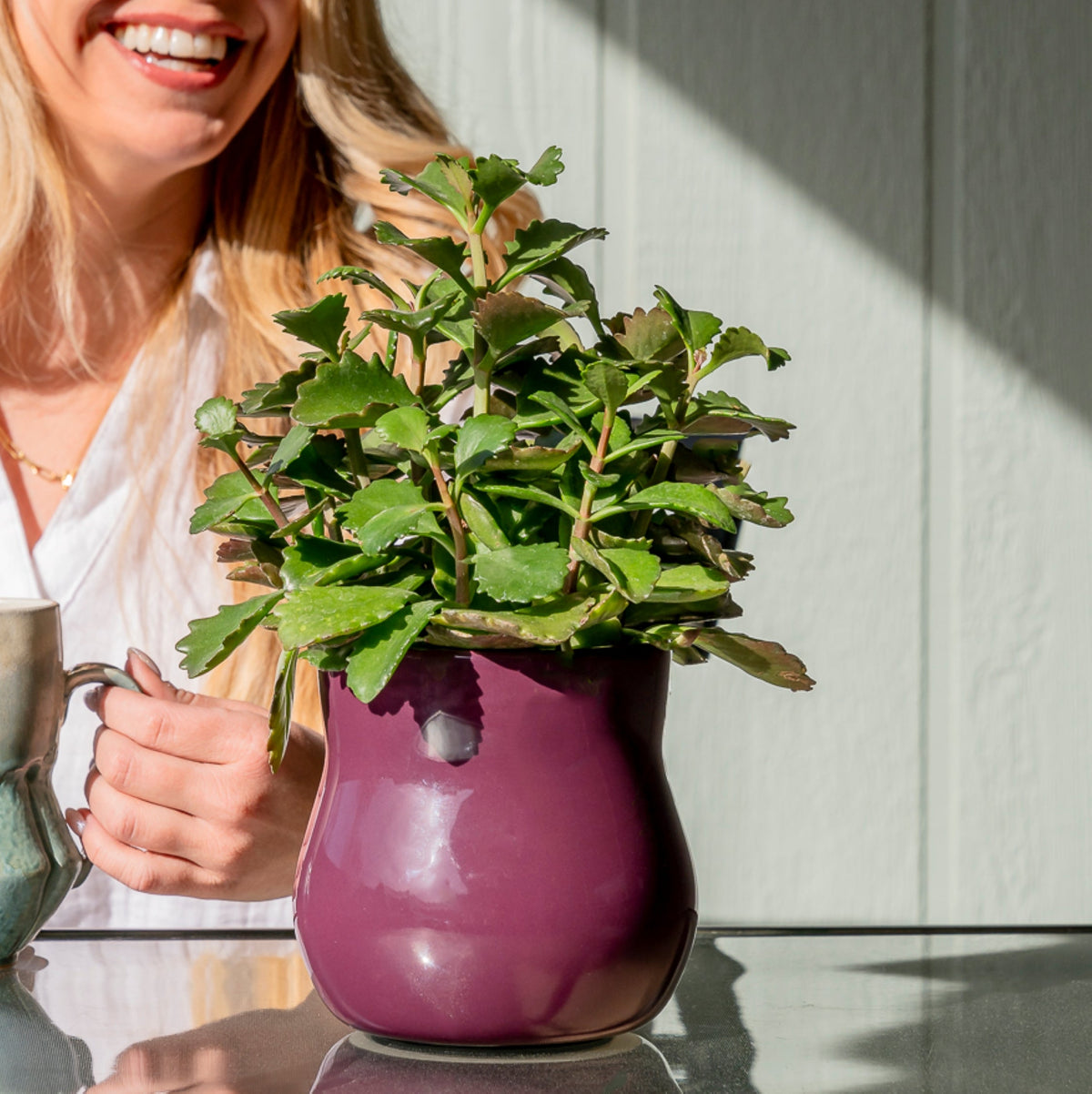 Ceramic Plant Pot with Rubber Liner - Violet Purple