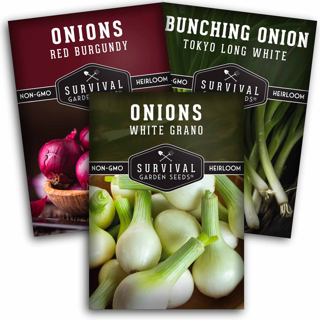 Short Day Onion Seed Collection – Red Burgundy, White Grano & Tokyo Long White Bunching for Southern Gardeners