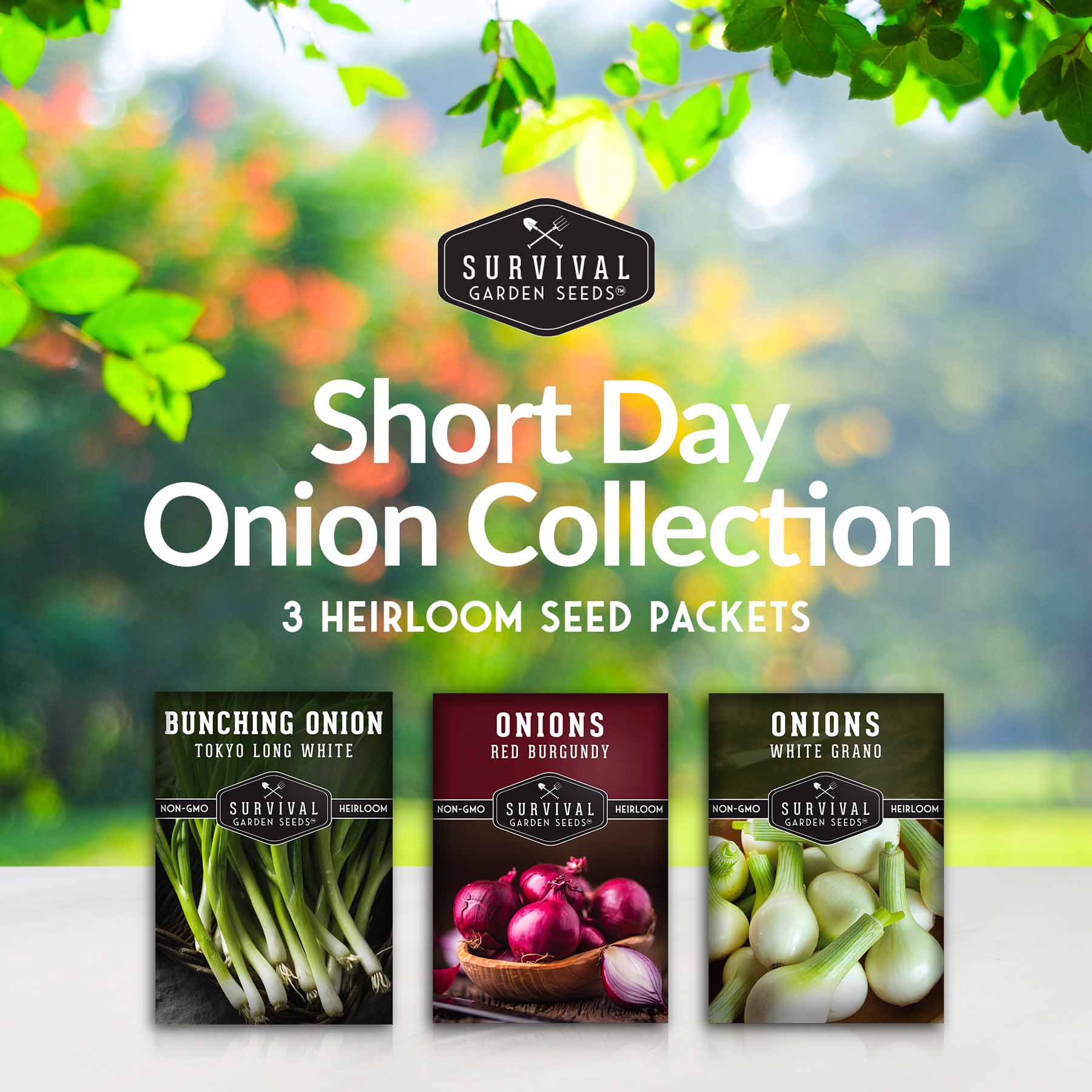 Short Day Onion Seed Collection – Red Burgundy, White Grano & Tokyo Long White Bunching for Southern Gardeners