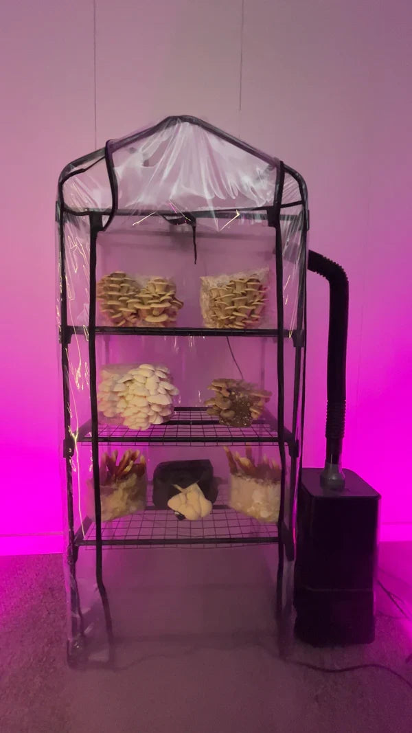 RMS ShroomRoom Automated Mushroom Tent T3 Kit