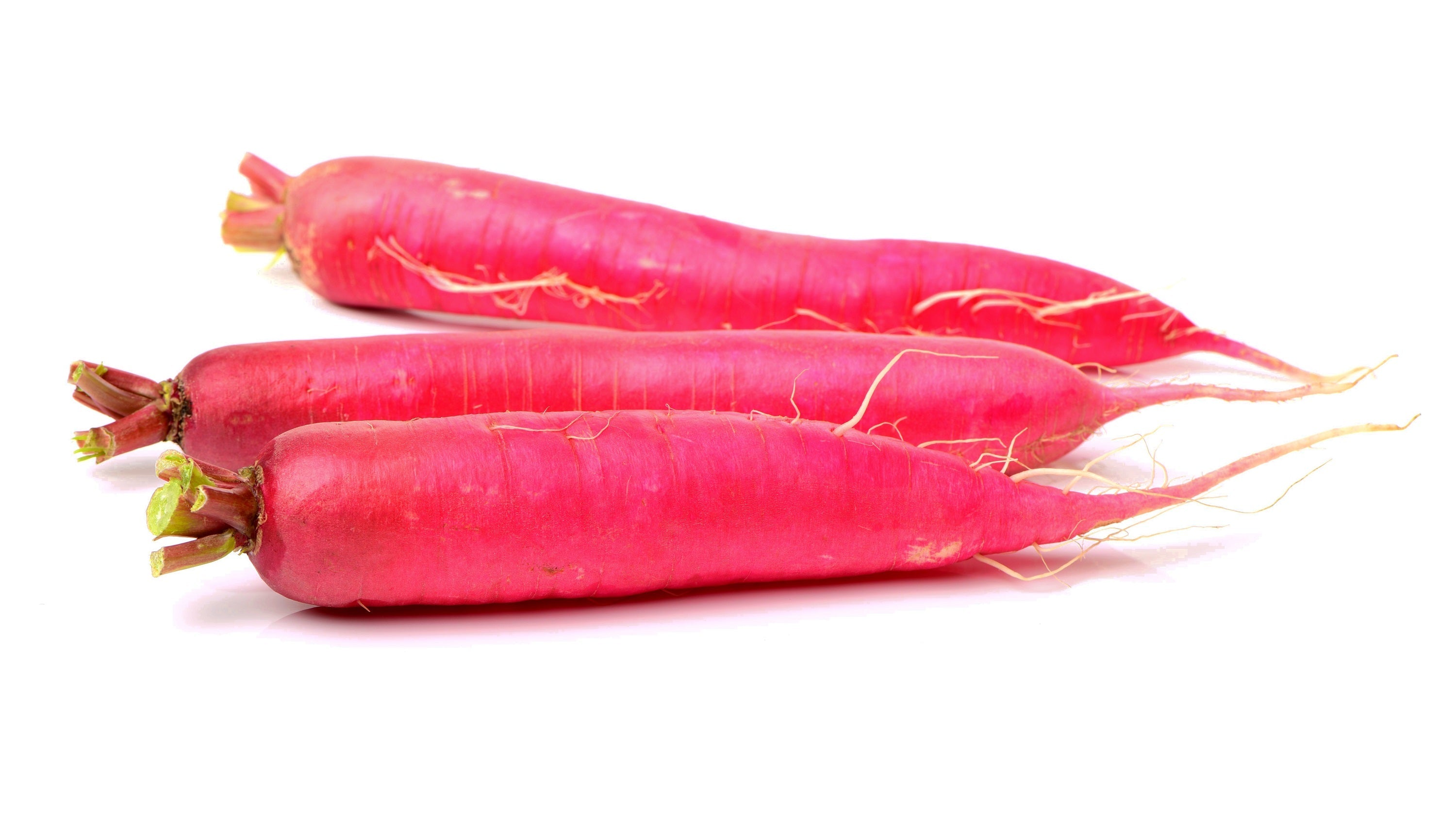 250 RED Arrow SPROUTING RADISH MiniGreen Daikon Raphanus Sativus Vegetable Seeds