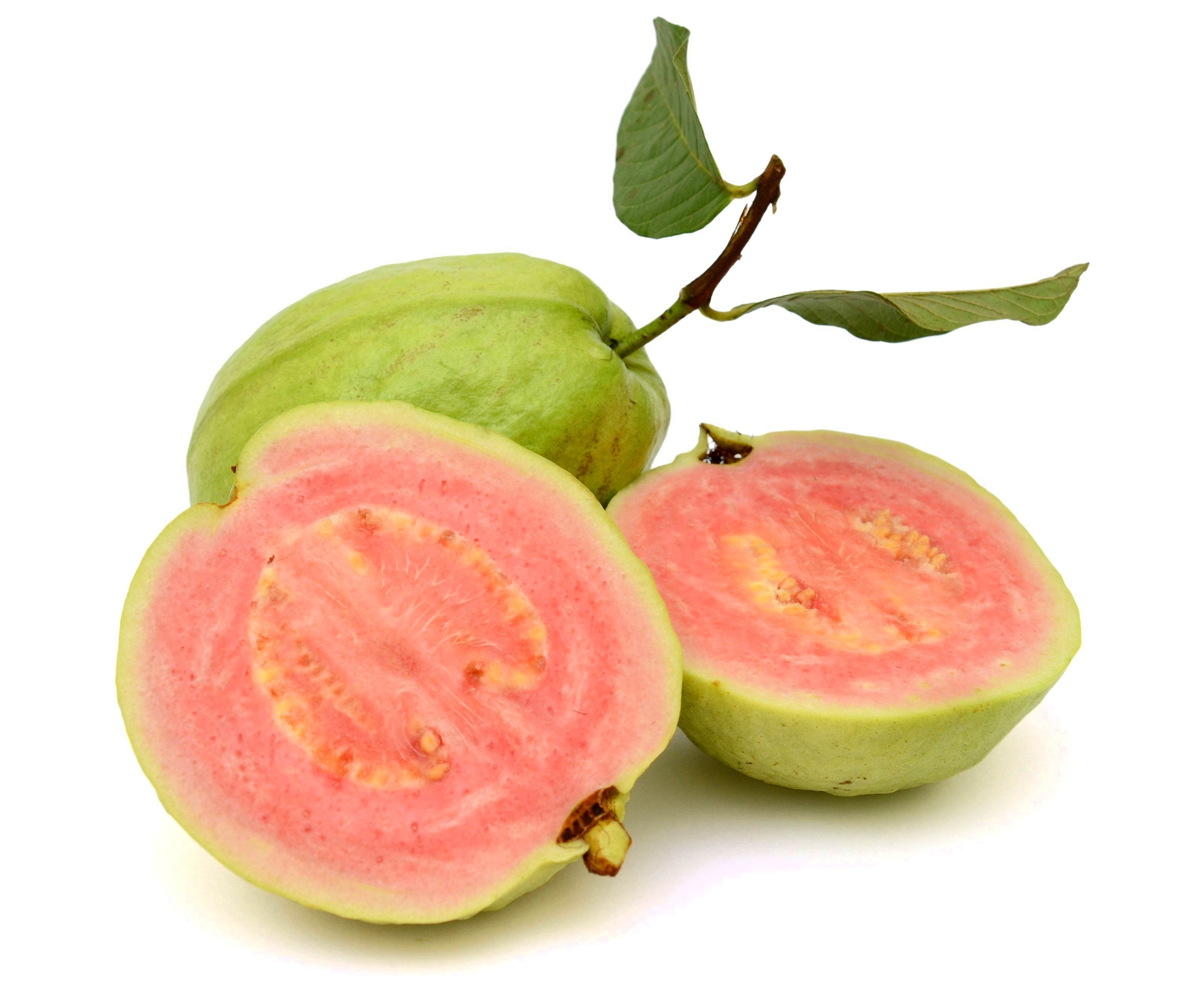 1000 BULK GUAVA Fruit Tree Shrub Psidium Guajava White Flowers Fruit Seeds