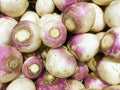 3000 LAURENTIAN RUTABAGA Brassica Napus Vegetable Seeds
