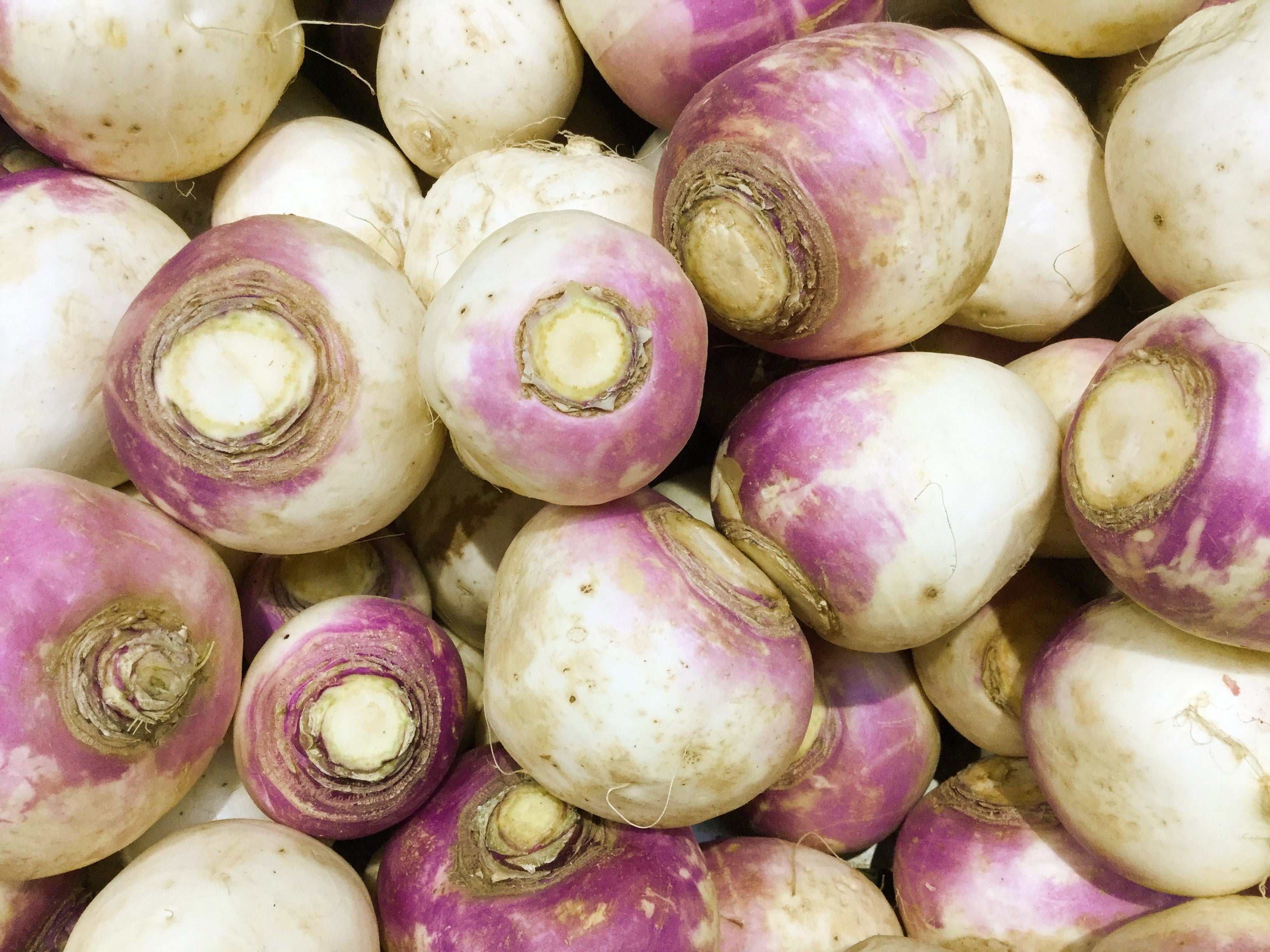 3000 LAURENTIAN RUTABAGA Brassica Napus Vegetable Seeds